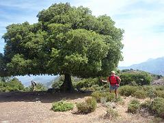 2009-05Corse (102)